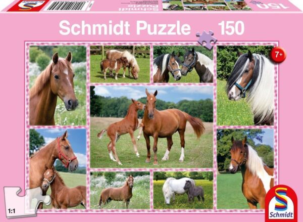 Schmidt Puzzle Beautiful Horses 150 db puzzle