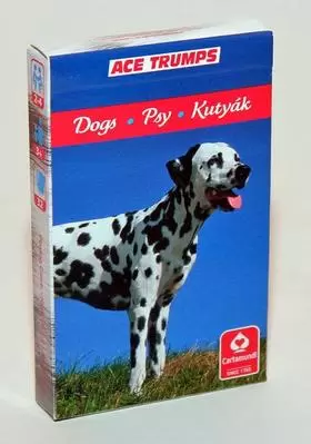 Kedvenceink a kutyák