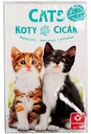 Cicák